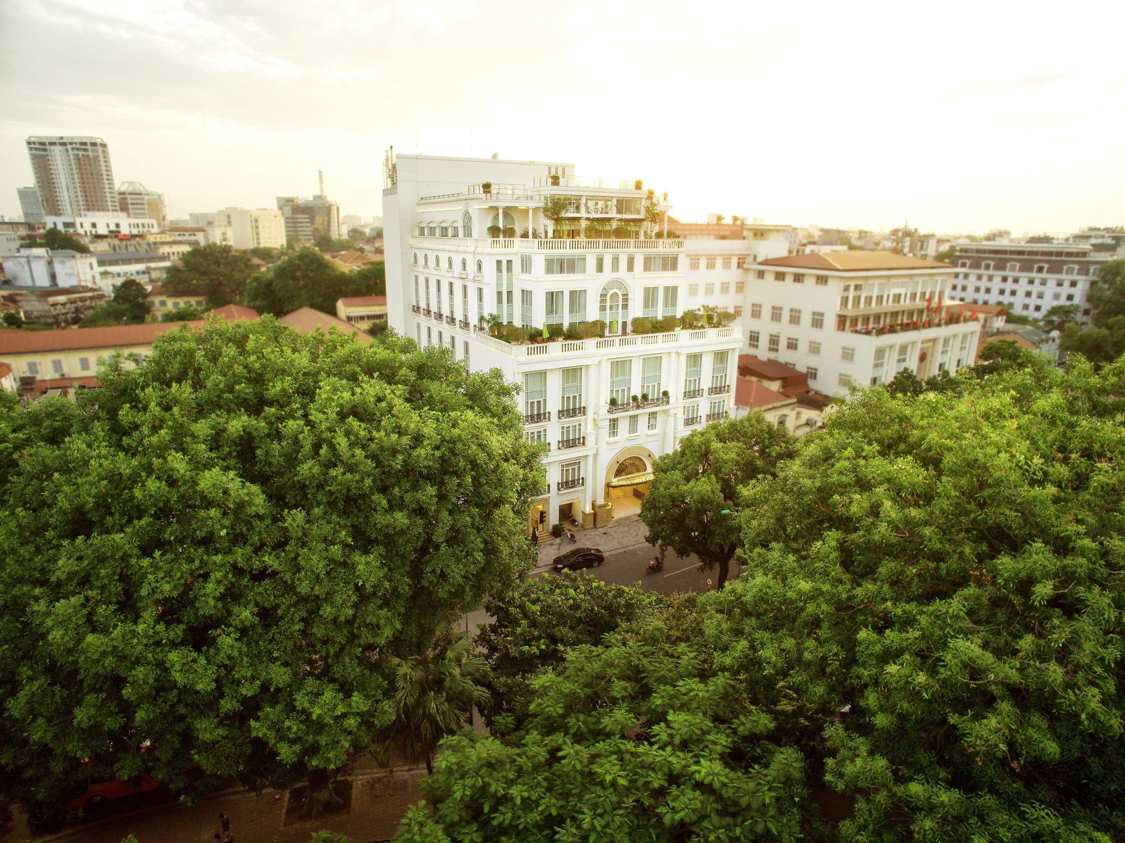 Apricot Hotel — Photos 1